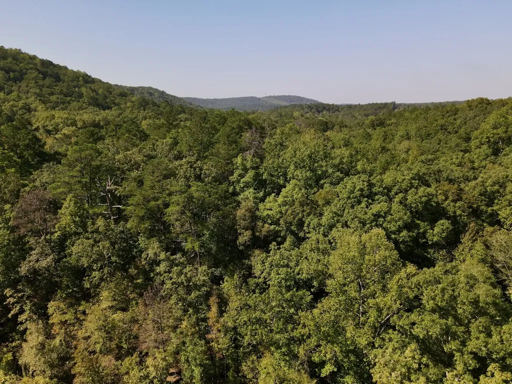 8821 Serene Drive Mccalla AL 35111