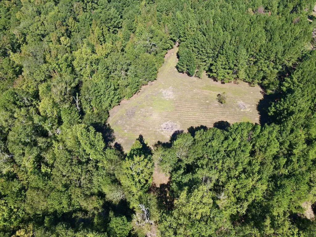 8821 Serene Drive Mccalla AL 35111