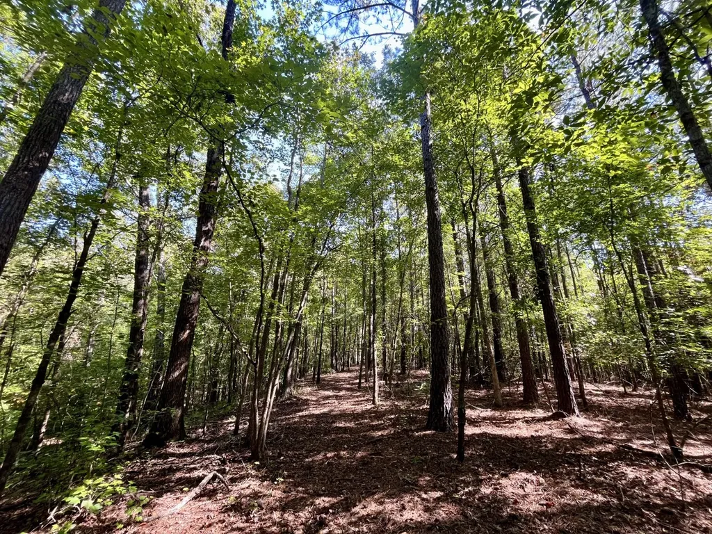 8821 Serene Drive Mccalla AL 35111