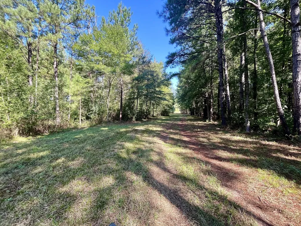 8821 Serene Drive Mccalla AL 35111