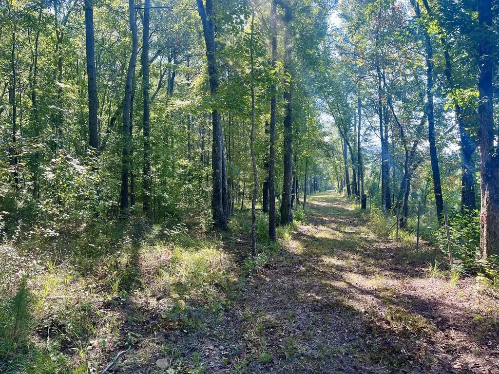 8821 Serene Drive Mccalla AL 35111