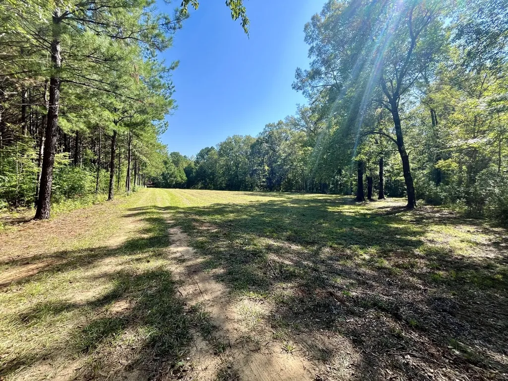 8821 Serene Drive Mccalla AL 35111