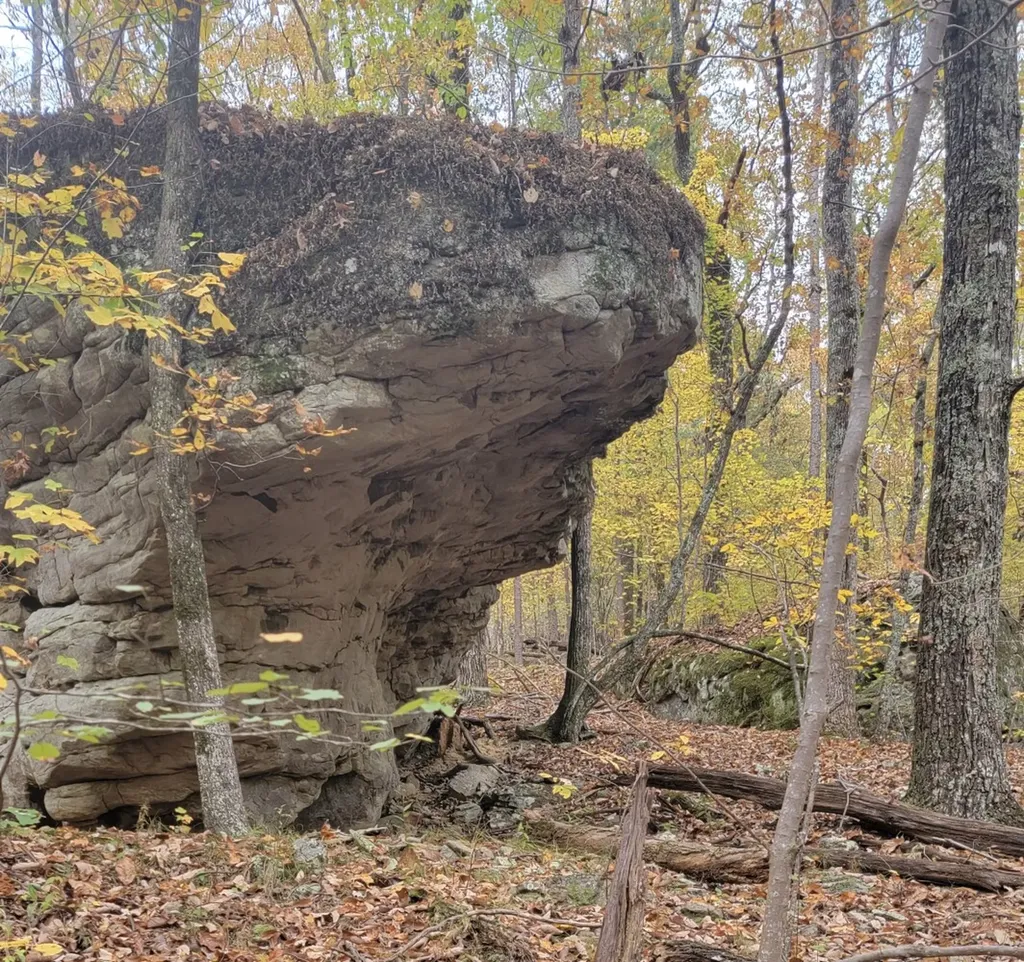 8821 Serene Drive Mccalla AL 35111