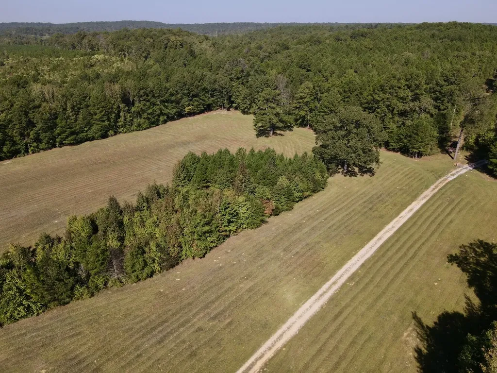 8821 Serene Drive Mccalla AL 35111