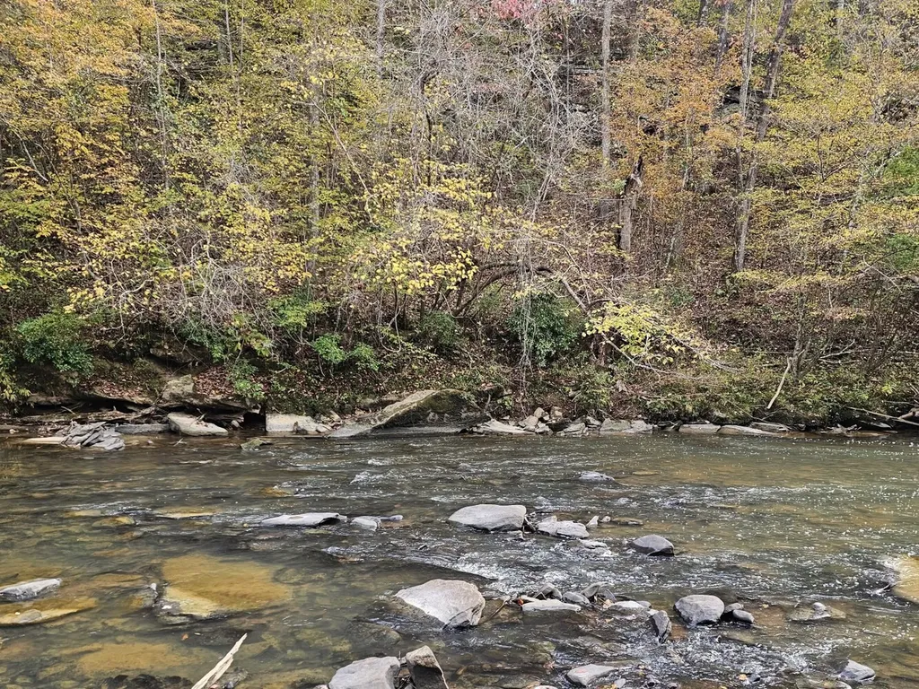 8821 Serene Drive Mccalla AL 35111