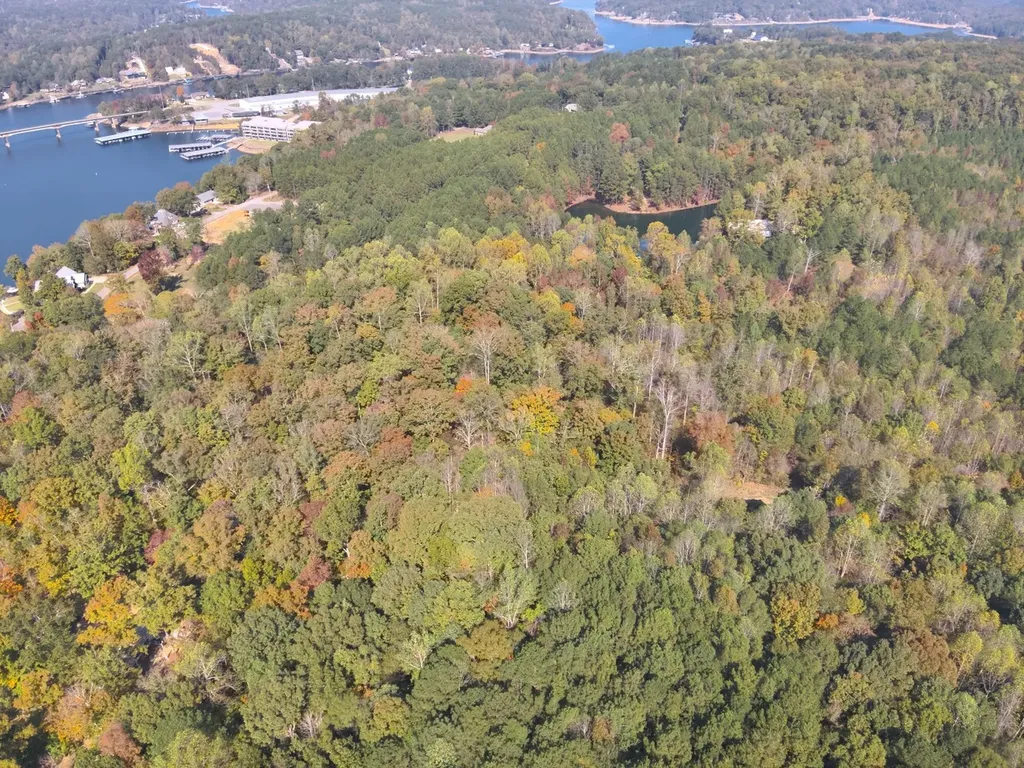 0 County Road 97 Bremen, Al Bremen AL 35033