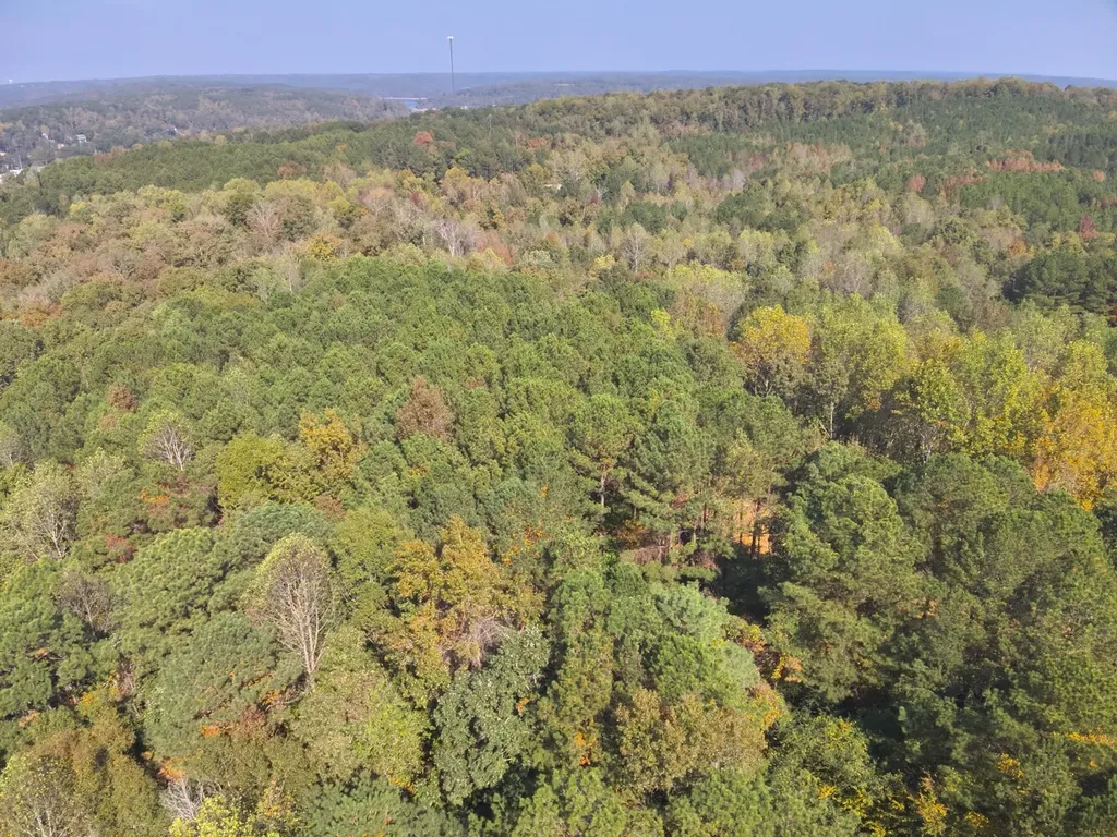 0 County Road 97 Bremen, Al Bremen AL 35033