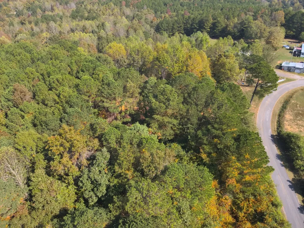 0 County Road 97 Bremen, Al Bremen AL 35033