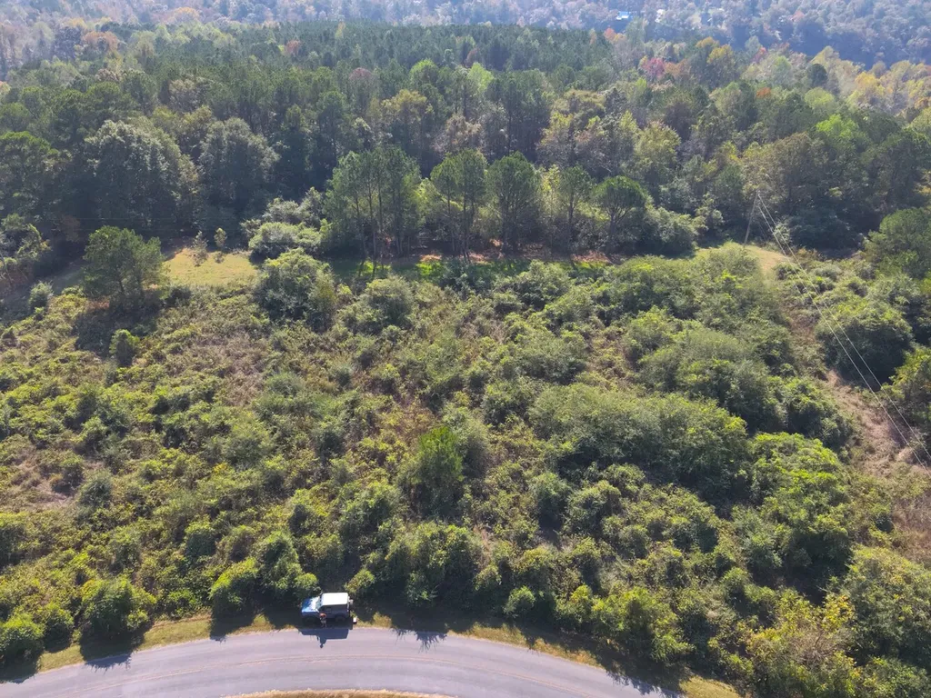 0 County Road 97 Bremen, Al Bremen AL 35033