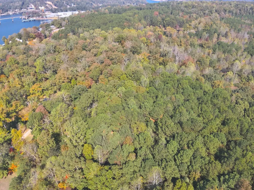 0 County Road 97 Bremen, Al Bremen AL 35033