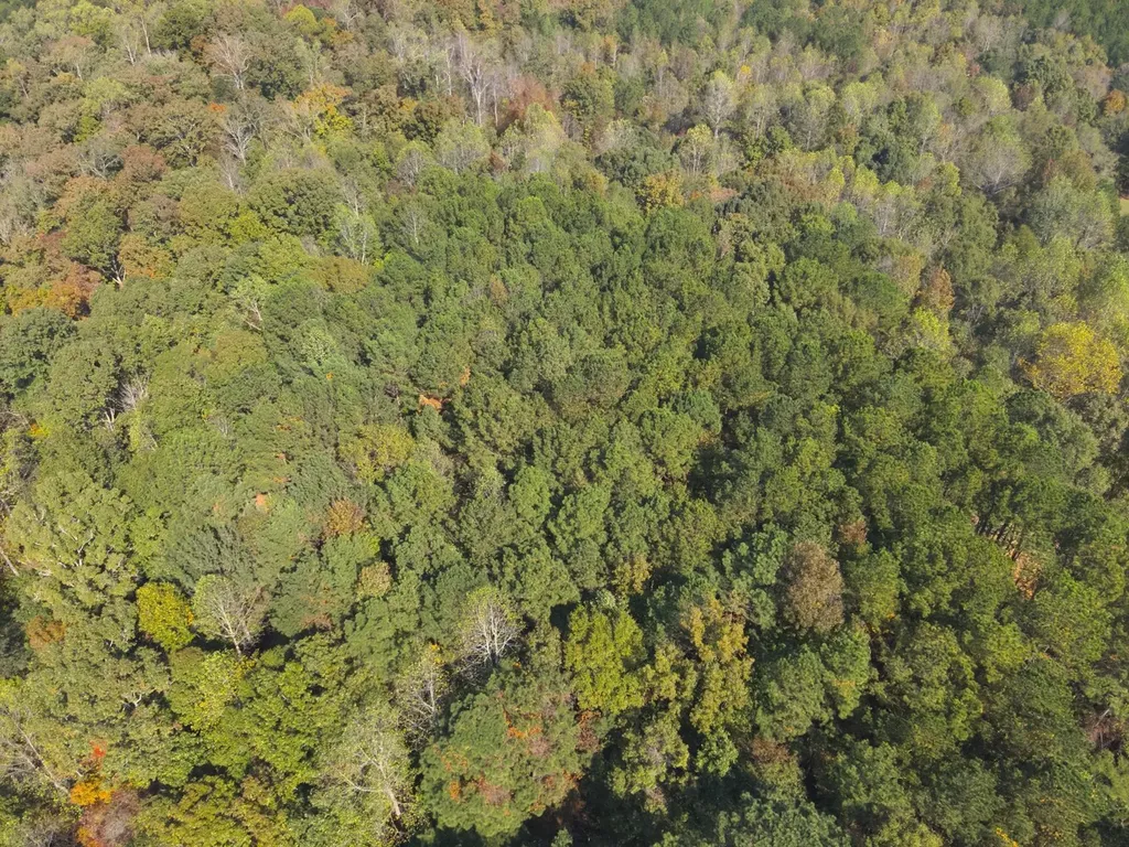 0 County Road 97 Bremen, Al Bremen AL 35033