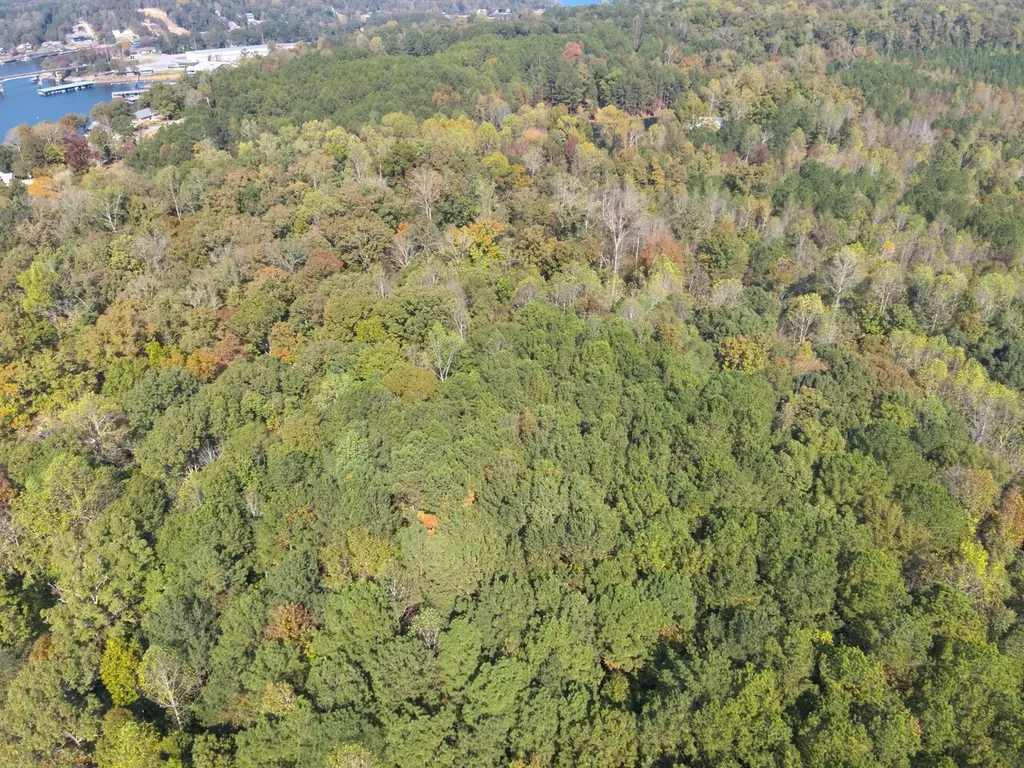 0 County Road 97 Bremen, Al Bremen AL 35033