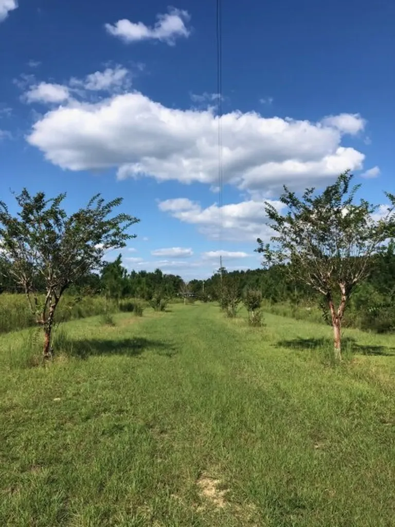 817 Wiggins Road Evergreen AL 36401