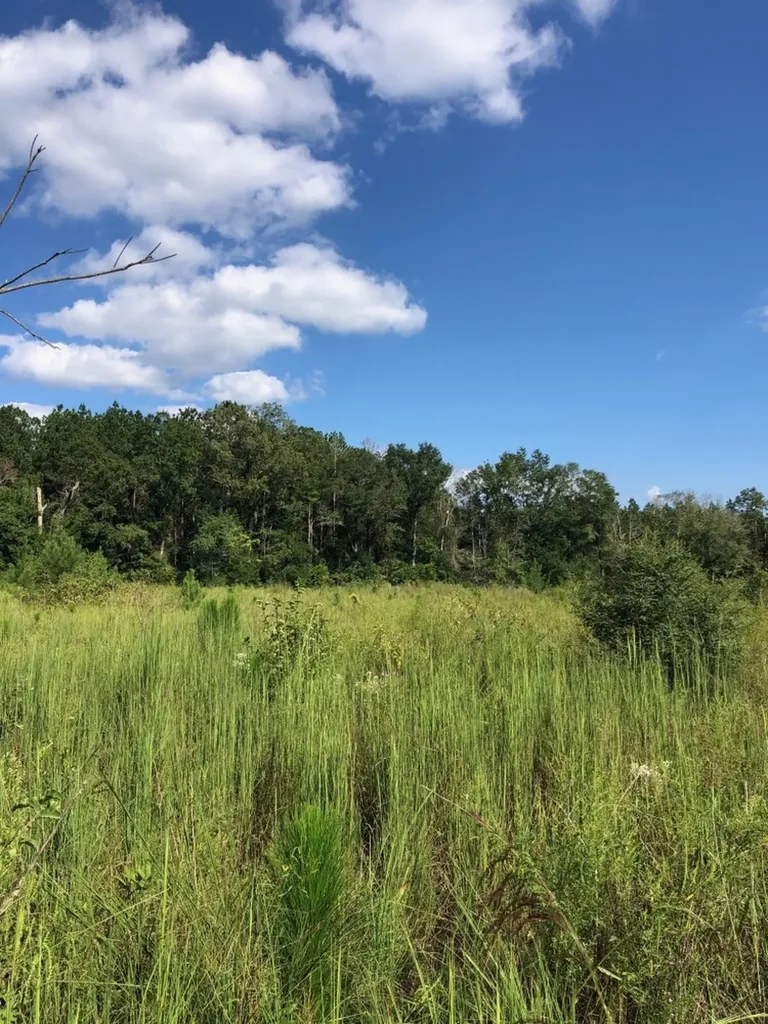 817 Wiggins Road Evergreen AL 36401