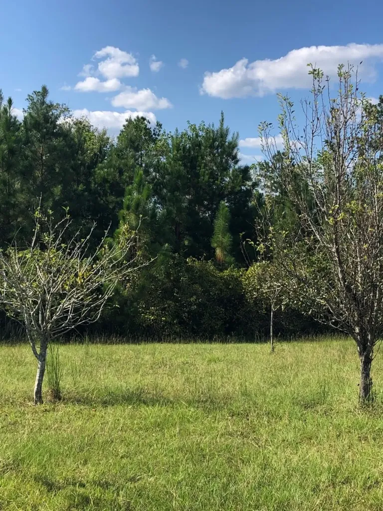 817 Wiggins Road Evergreen AL 36401