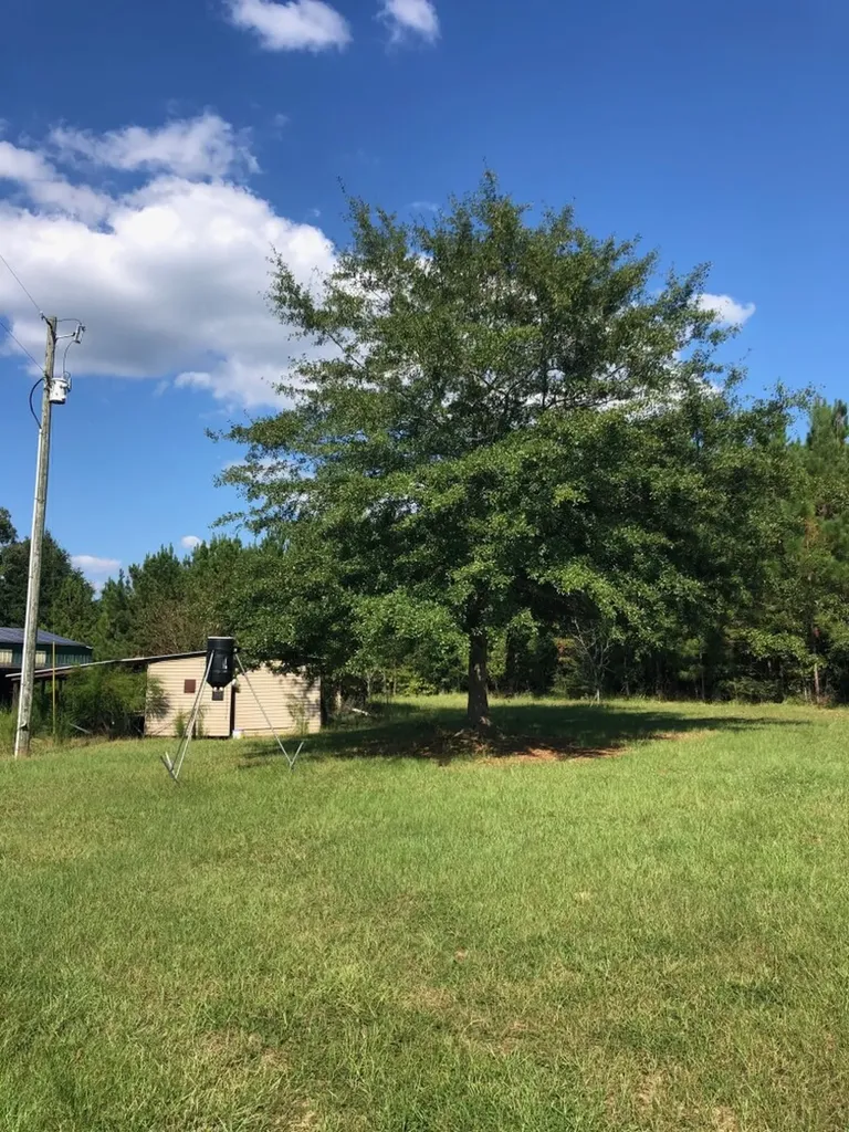 817 Wiggins Road Evergreen AL 36401