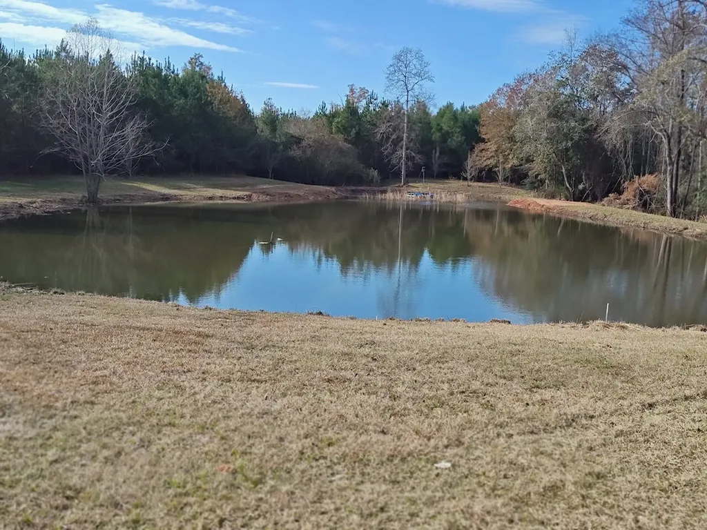 817 Wiggins Road Evergreen AL 36401