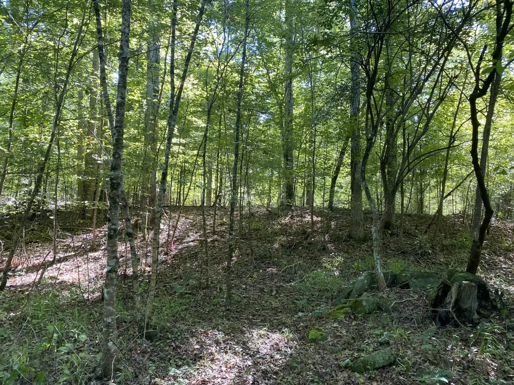 0 War Eagle Drive Bessemer AL 35022