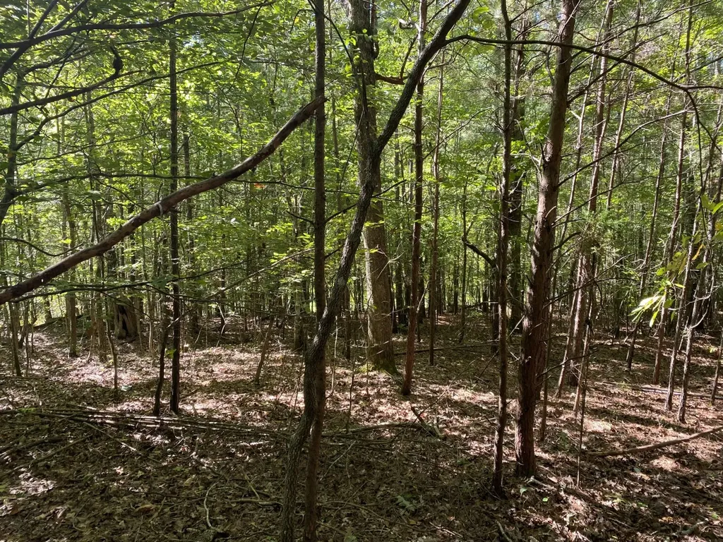 0 War Eagle Drive Bessemer AL 35022