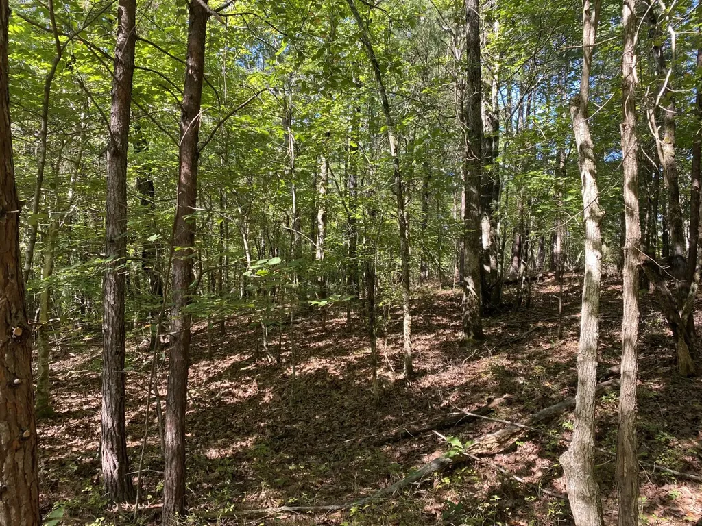 0 War Eagle Drive Bessemer AL 35022