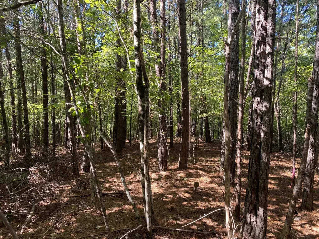 0 War Eagle Drive Bessemer AL 35022