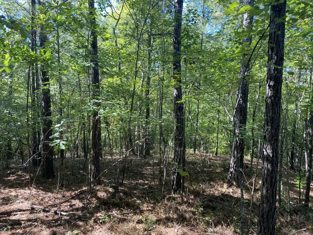 0 War Eagle Drive Bessemer AL 35022