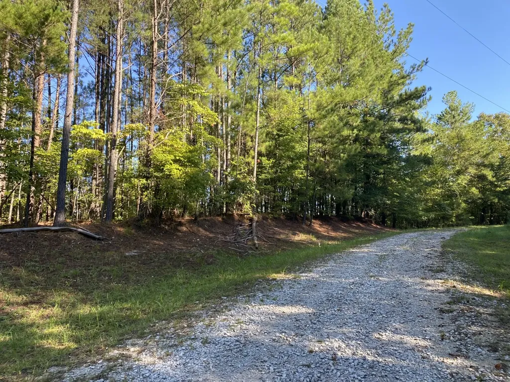 0 War Eagle Drive Bessemer AL 35022