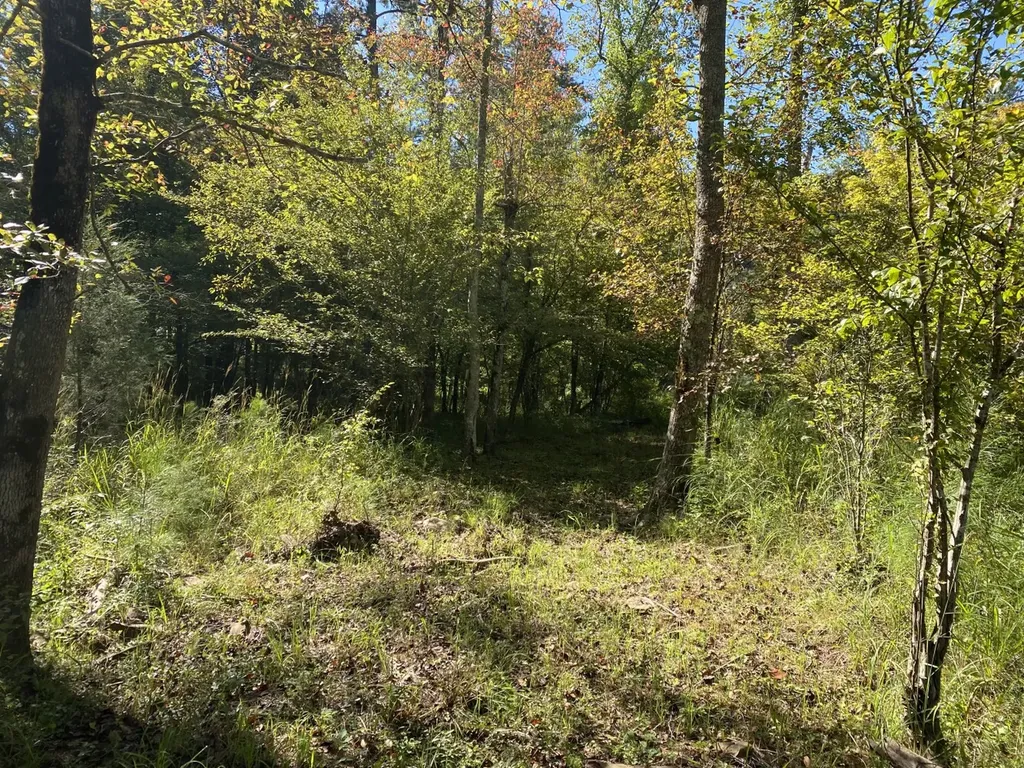 0 War Eagle Drive Bessemer AL 35022