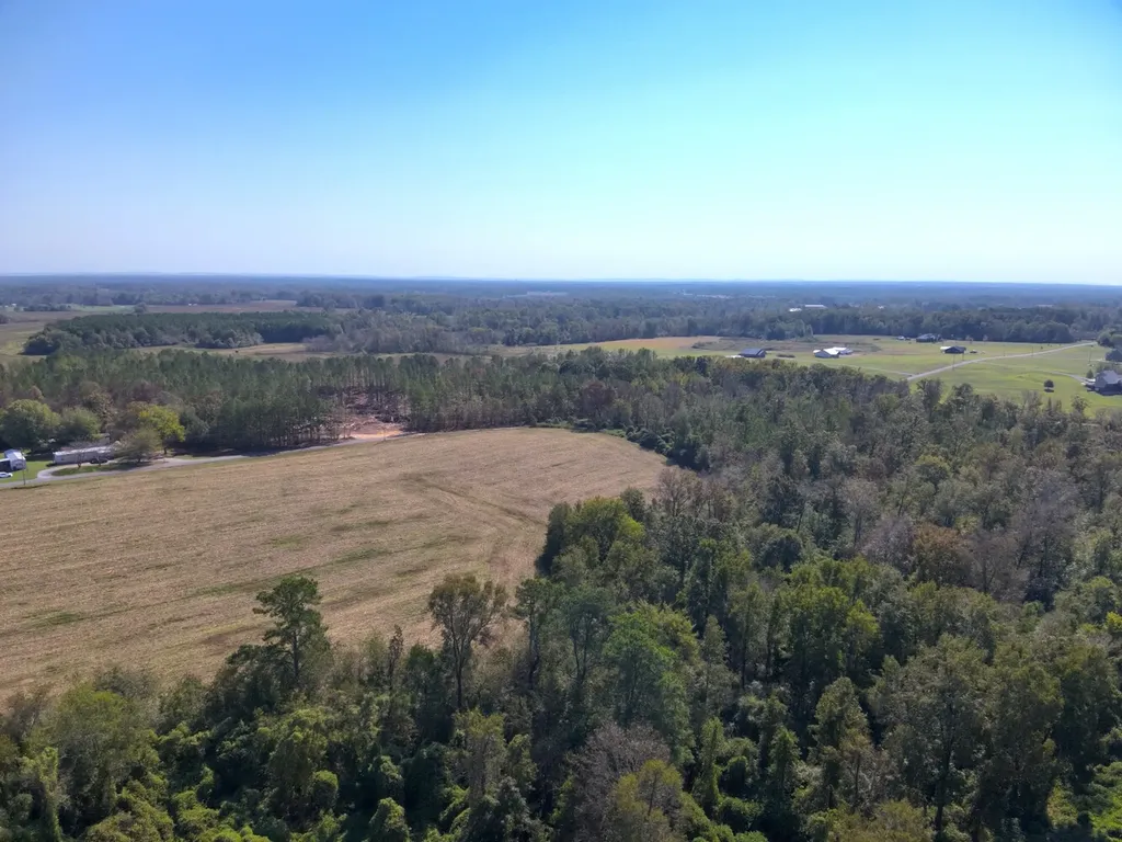 Scenic Drive Section Section AL 35771