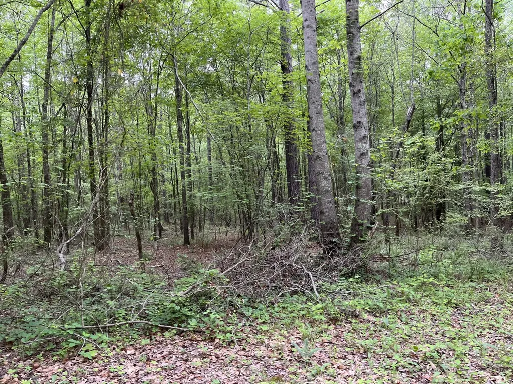 Scenic Drive Section Section AL 35771