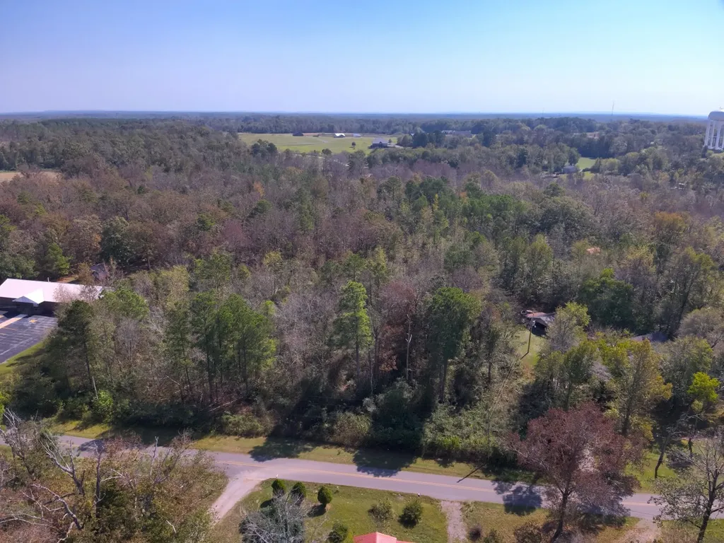 Scenic Drive Section Section AL 35771