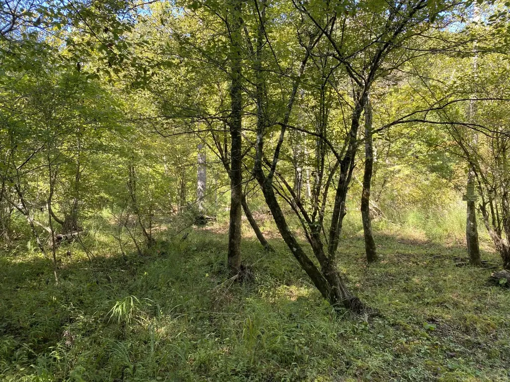 0 War Eagle Drive Bessemer AL 35022