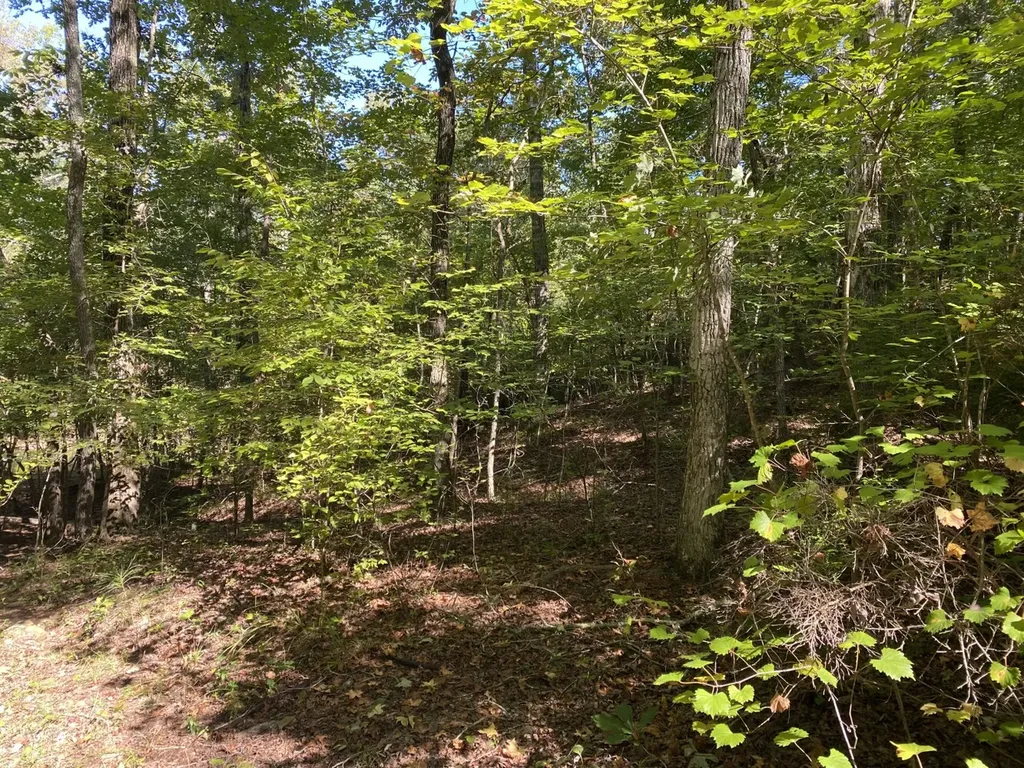 0 War Eagle Drive Bessemer AL 35022