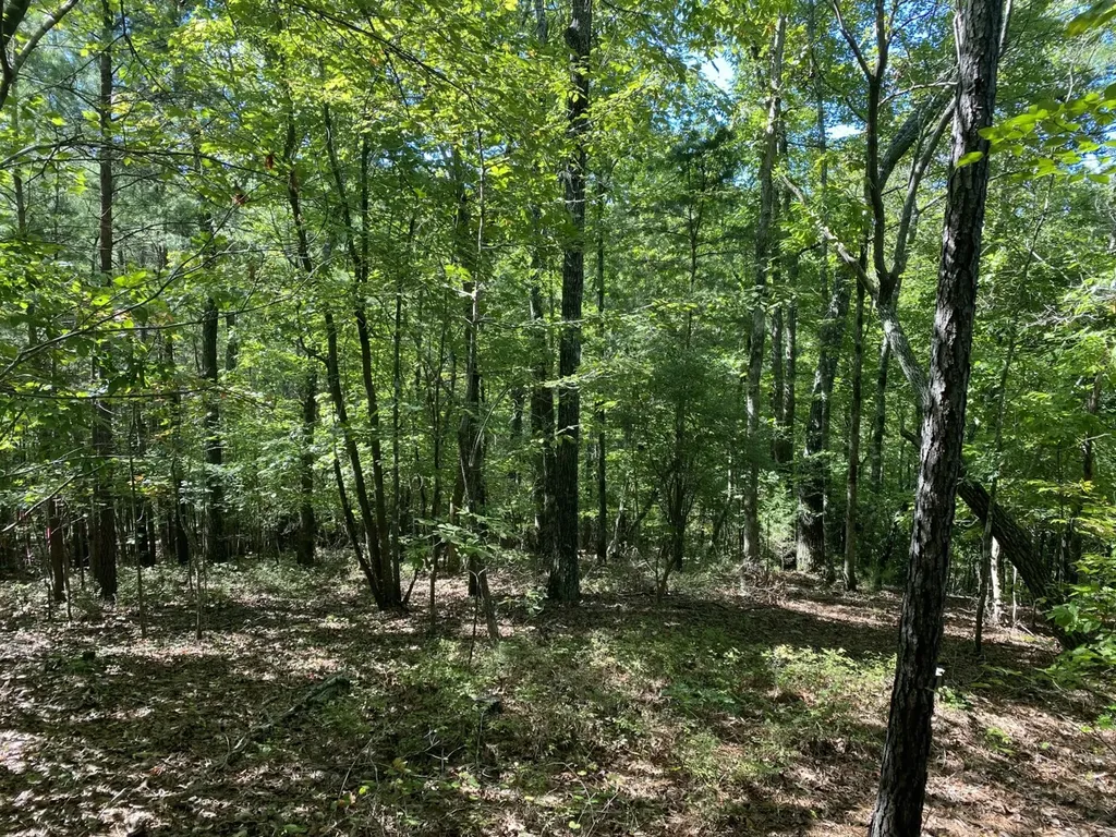 0 War Eagle Drive Bessemer AL 35022