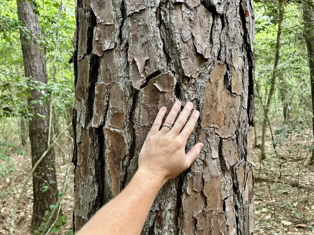 0 Thompson Road Stockton AL 36579