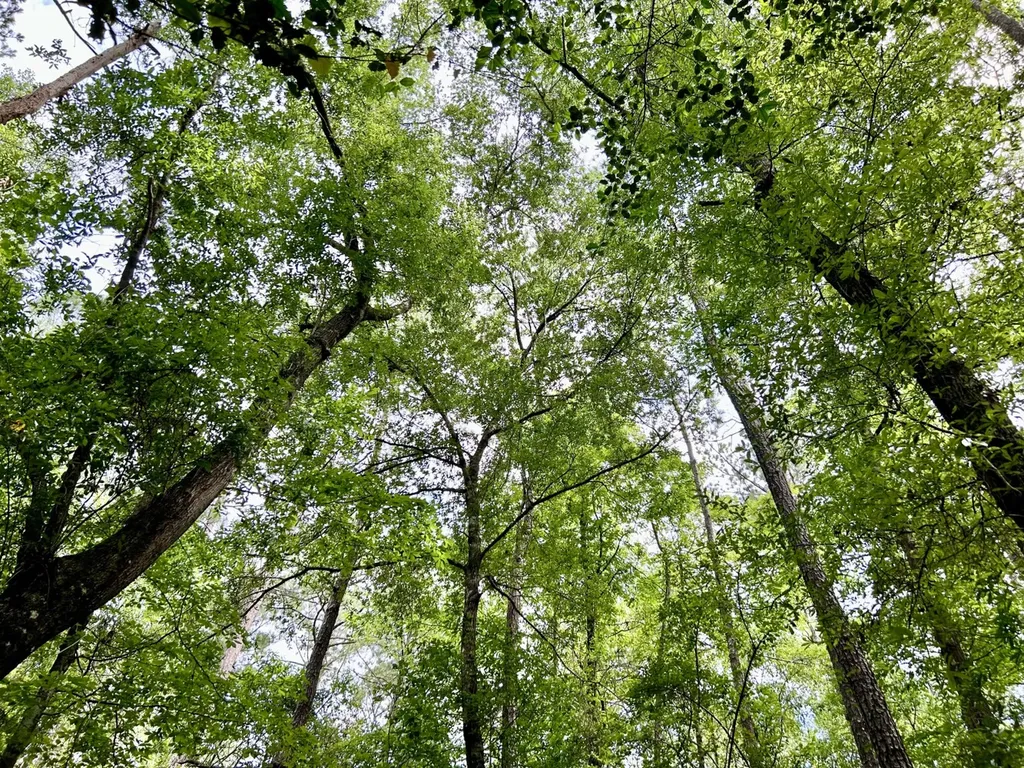 0 Thompson Road Stockton AL 36579