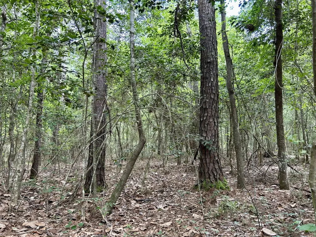 0 Thompson Road Stockton AL 36579