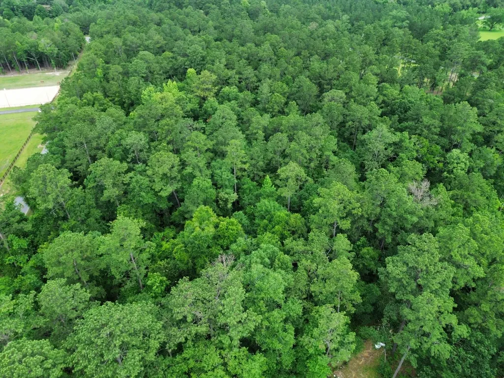 0 Thompson Road Stockton AL 36579