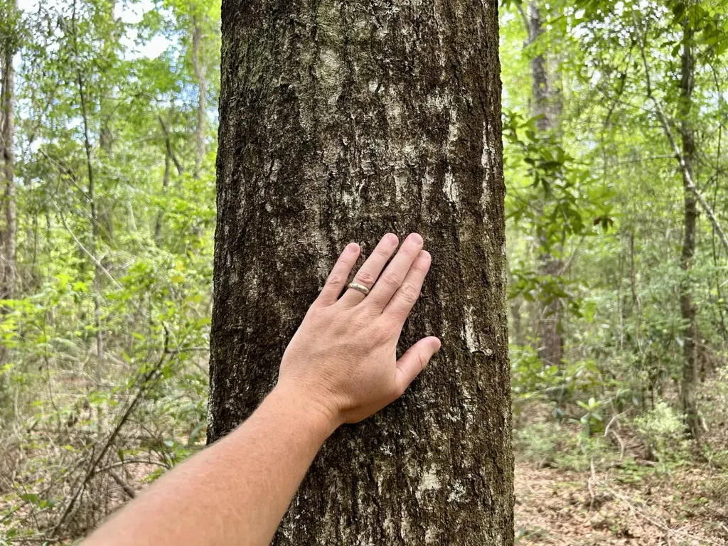 0 Thompson Road Stockton AL 36579