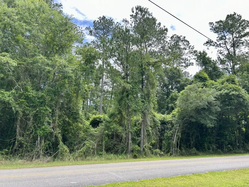 0 Thompson Road Stockton AL 36579