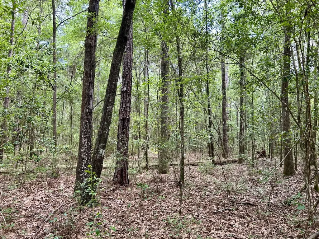 0 Thompson Road Stockton AL 36579