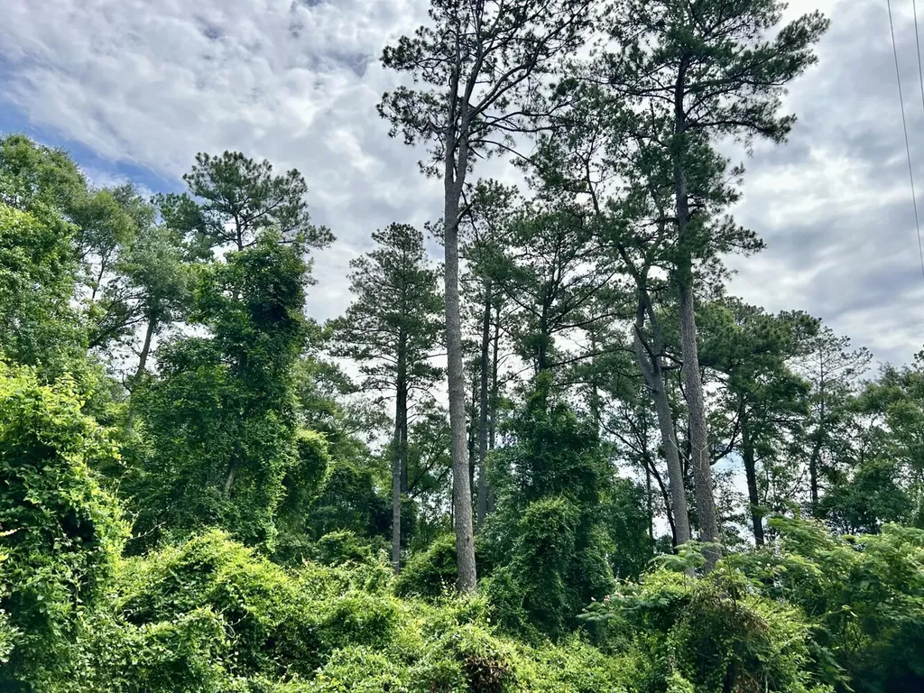 0 Thompson Road Stockton AL 36579