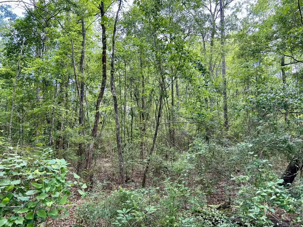 0 Thompson Road Stockton AL 36579