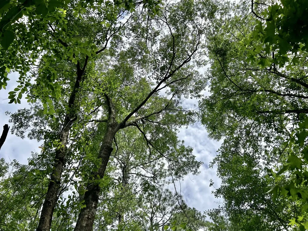 0 Thompson Road Stockton AL 36579