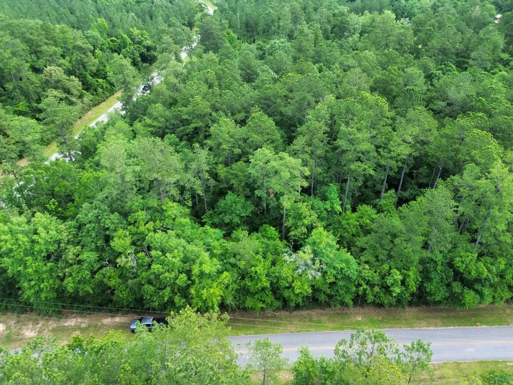 0 Thompson Road Stockton AL 36579