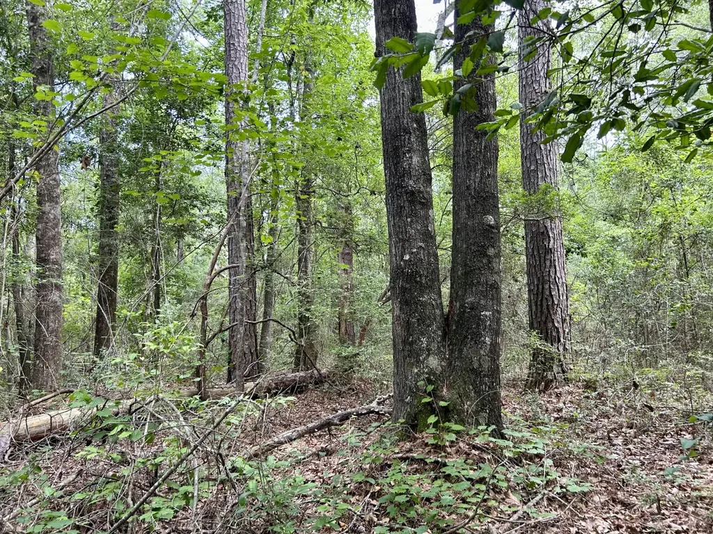 0 Thompson Road Stockton AL 36579