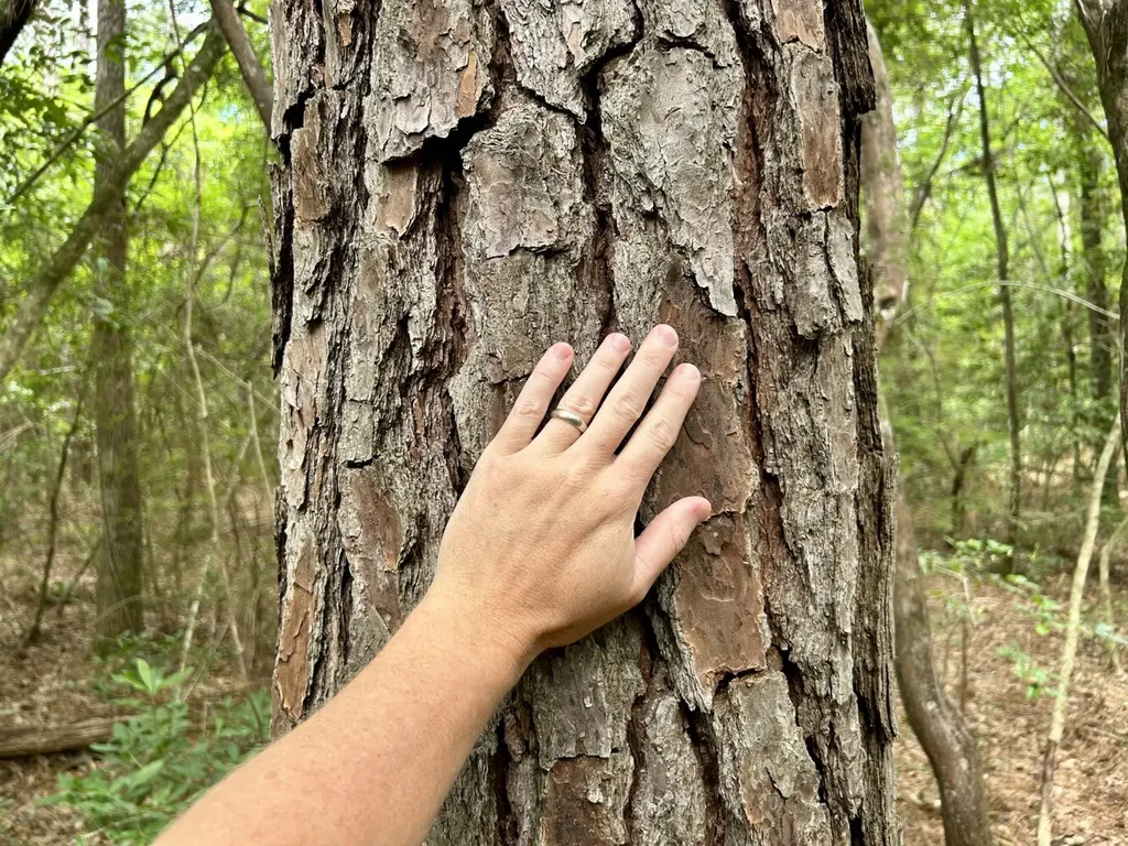 0 Thompson Road Stockton AL 36579