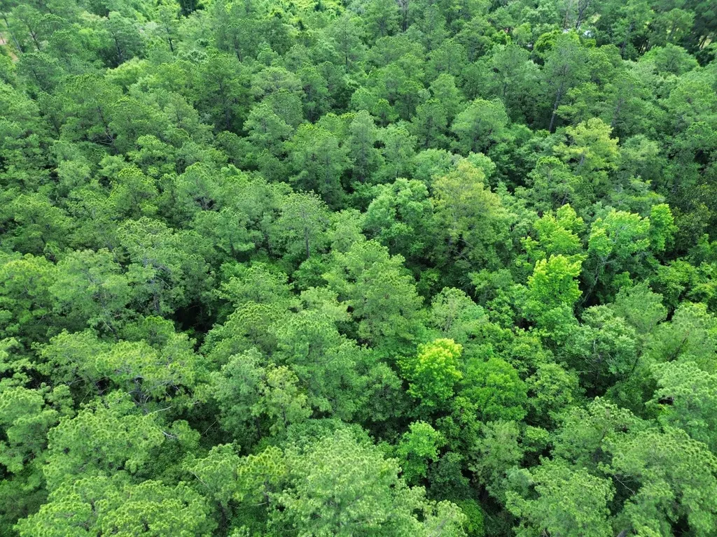 0 Thompson Road Stockton AL 36579