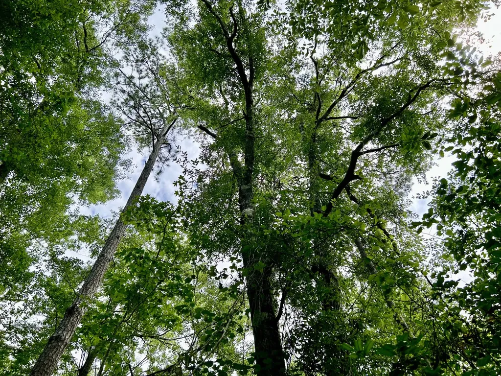 0 State Highway 59 Stockton AL 36579