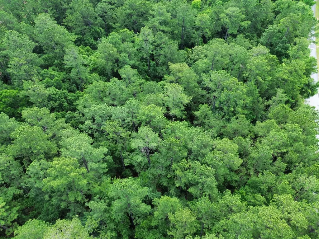 0 State Highway 59 Stockton AL 36579